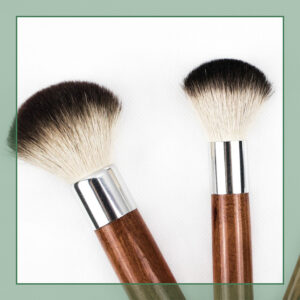 BRUSHES